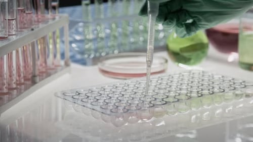 Close-up of Unrecognizable Hand Pipetting Liquid Into Multi-Well Plate in Lab