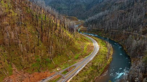Steep bare mountains covered with dead tree trunks. A highway and river are at the foot of the rock.