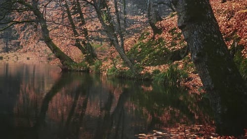 4K Herbstsee
