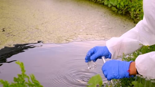 Gloved Hands Taking Water Sample in Nature