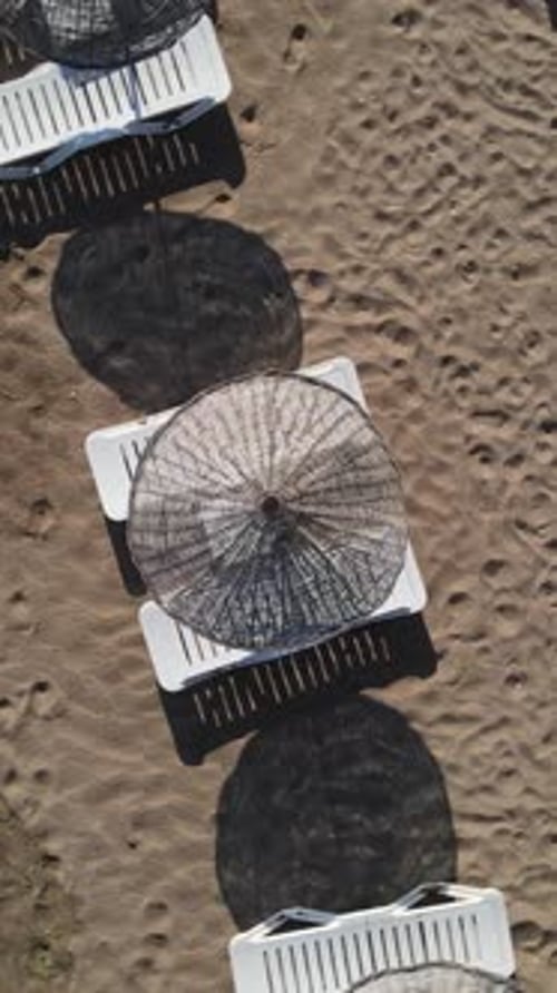 Empty Beach Umbrellas