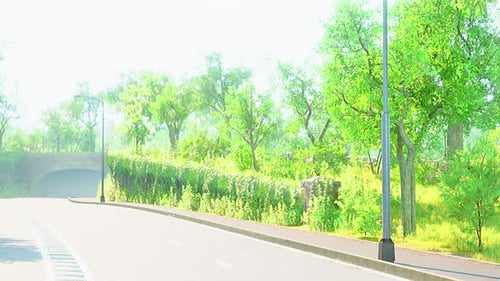 Foto da estrada no meio da floresta