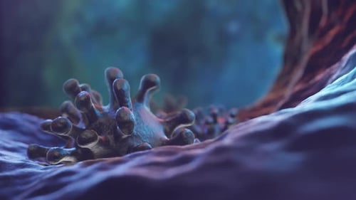 Infection au coronavirus en couleur haute définition