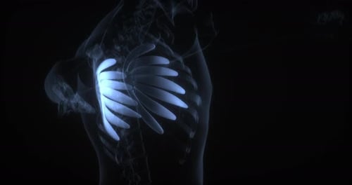 Futuristic 3D Human Rib Cage Animation