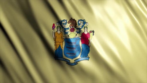 New Jersey State Flag