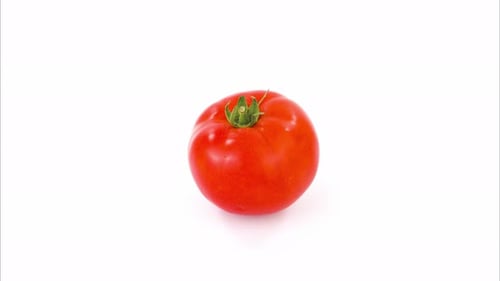 Tomate sur fond blanc