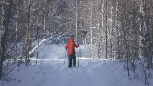 Ein Junge beim Skifahren im Winterwald