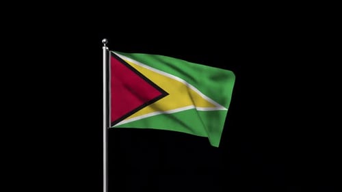 Guyana National Flag Waving Animation on Black Background