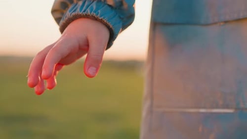 Young Child's Hand Outdoors in Golden Sunset Light