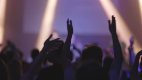 Energetic Concert Audience with Raised Hands