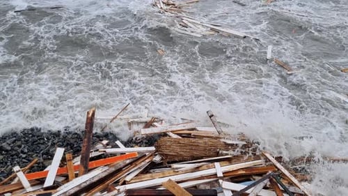 Debris on Black Sea Coast After Strong Storm Natural Disaster at Sea Dirty Sea Heaps of Garbage on