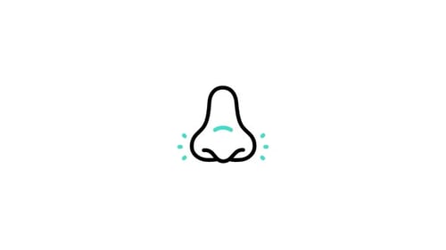 Flat Design Animated Nose Icon with Smell Sensation
