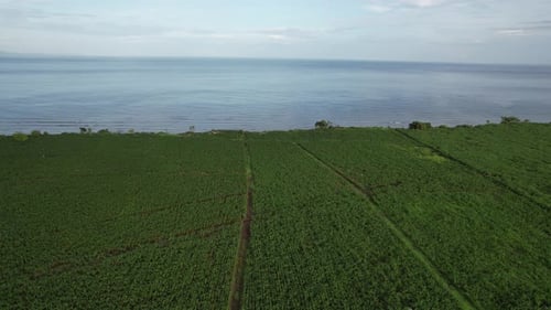 Landschaft der Insel Sumbawa