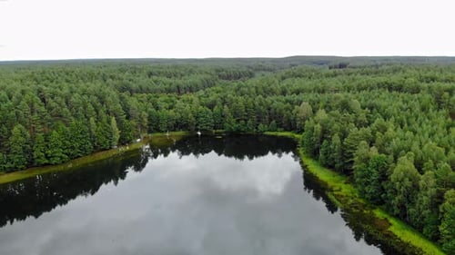Green Forest By The Calm Lake In Pradzonka, Poland. - aerial