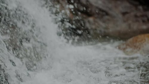 Pure Fresh Water Stream In Mountains Clean Water River Flowing