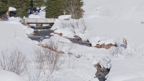 Calm Winter Mountain Haven. Snow-Adorned Forest and Sunlit Trees in the Winter's Embrace. mountain s