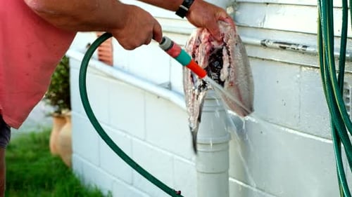 Man Cleaning Fish with Hose Outside