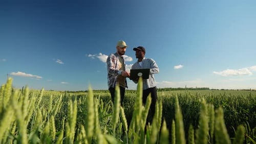 Two Farmers Stand in Wheat Stubble Field Discuss Harvest Crops