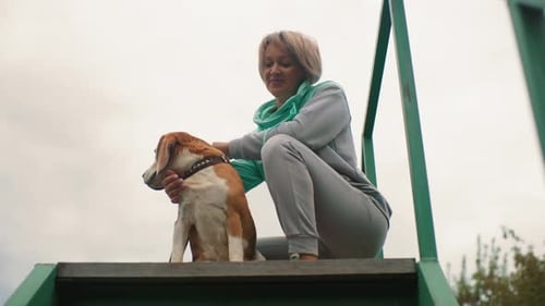 Un dompteur de chiens caresse un bouledogue calme assis sur un haut podium à l'extérieur