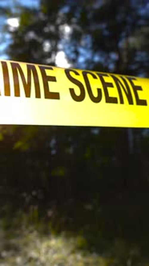 Sunlight backlighting a police investigation Crime Scene tape in front of a bokeh blurry forest area