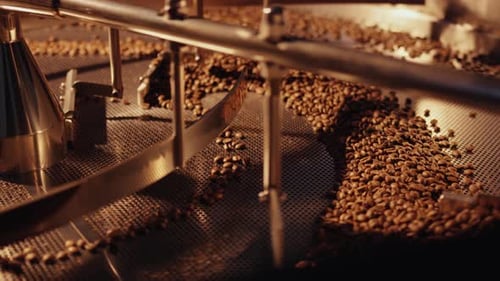 Coffee beans cooling and rotating in roasting machine