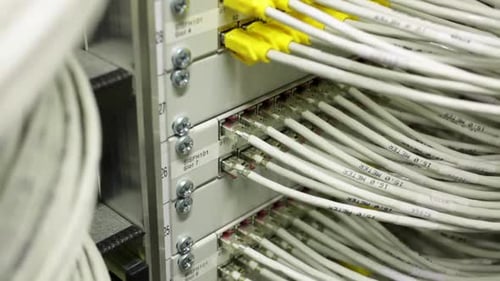 Close-up white wires connected to the internet in a server room, tilt up
