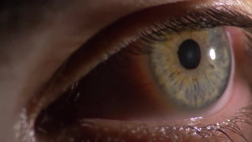 Extreme Close Up of Human Eye, Detailed Iris and Pupil.