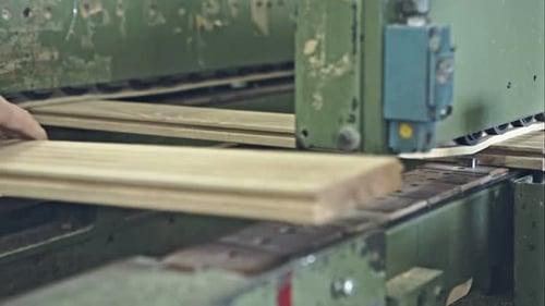 Plant Production Floor Massif RAW Video Record