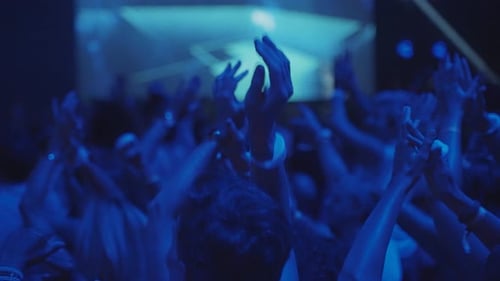 Energetic Crowd Enjoying a Live Music Event at Night