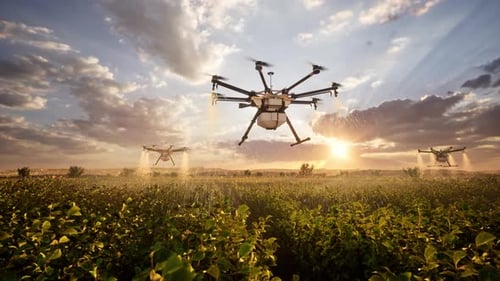 Agricultural Drones Spraying Pesticides Over A Field At Sunset