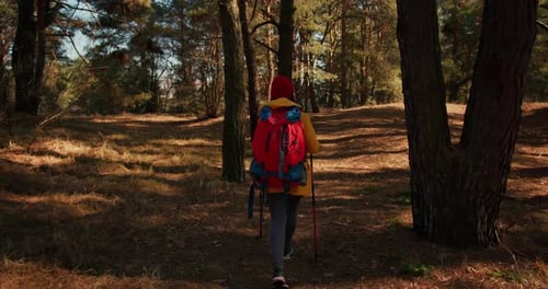 Backpacker Hiker Girl with Hiking Poles Walking Between Trees in a Mountain Forest Hispanic Teenager