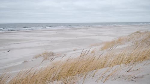 Windy day at empty beach