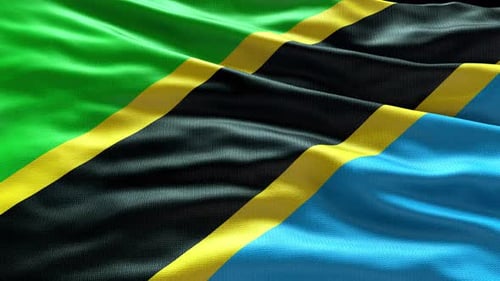 Realistic Waving Tanzania Flag Loop Animation