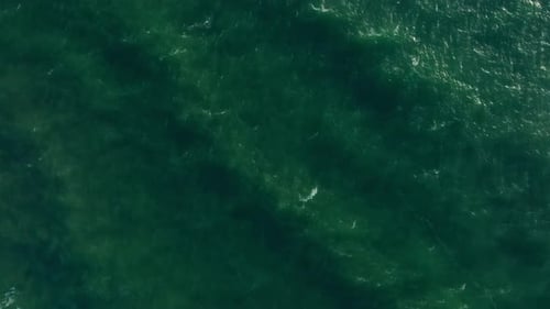 Slow motion drone glide over Atlantic Ocean near Cape Town, camera tilts up revealing open sea