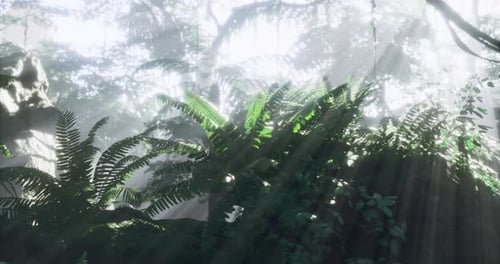 Tropical Jungle Scene with Light Rays