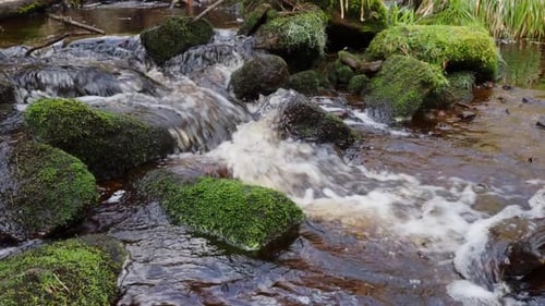 Woodland landscape. Small stream or river meandering slowly through rocks creating waterfalls. River