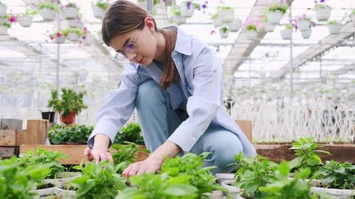 Beautiful florist woman sitting and working in garden center. Successful employee is in a bright gre