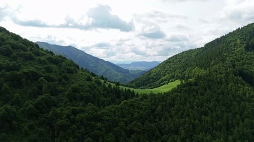 Aerial View of a Lush Green Meadow in a Mountain Saddle Between Forested Hills
