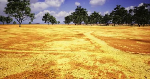 Path Through a Dry Arid Landscape
