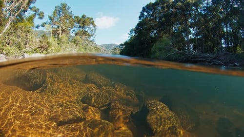 Rapid River in the Mountains