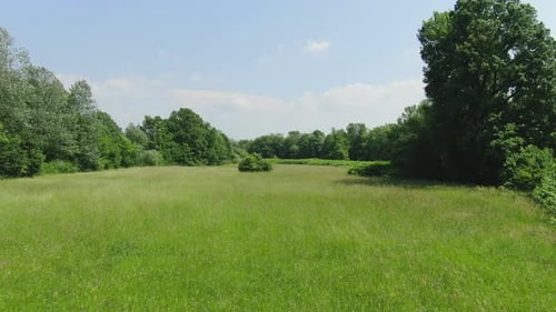Slow dollying aerial drone footage across a beautiful green field with long grass