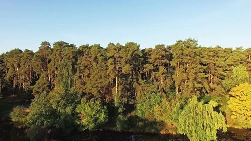 The Camera Pans Down Over Pine Forests and the Lake Above