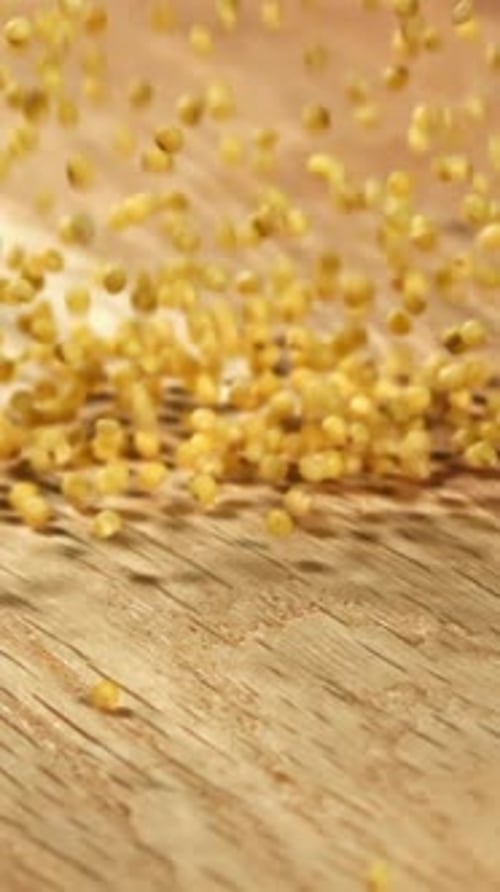 Millet Groats Fall on a Wooden Table Filmed on a Highspeed Camera at 1000 Fps