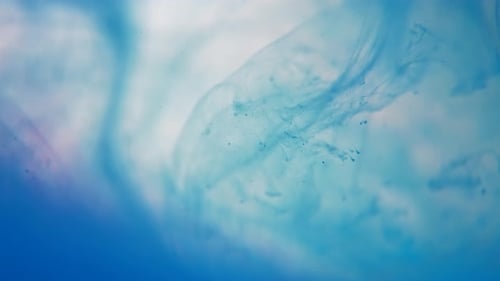 Blaue Farbwolke auf weißem Hintergrund