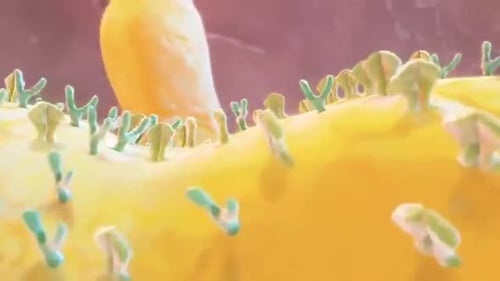 Animated Microscopic View of Cell Surface Receptors
