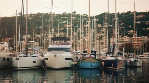 Elegant sailboats lined up in a marina during golden hour, calm water reflecting the evening sun
