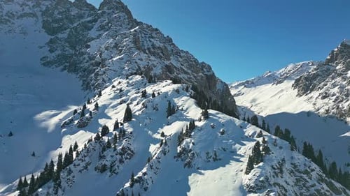 Snowy Mountains and Evergreen Trees Aerial View