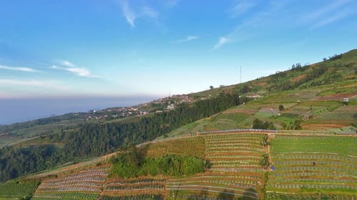 Aerial view of terraced farmlands on a lush green mountain slope under a clear blue sky,