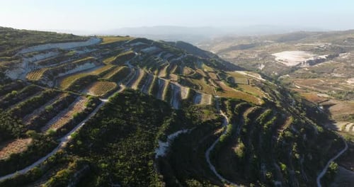 Aerial View of Agricultural Vineyards in the Mountains