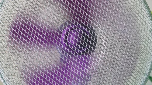 Home appliance electric fan rotating purple plastic blades circulating air in room close up slow pul